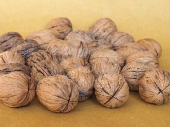 many walnuts with shell useful as a background