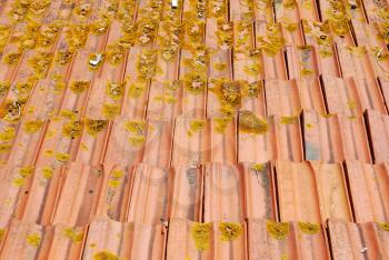 Royalty Free Photo of Roof Tiles