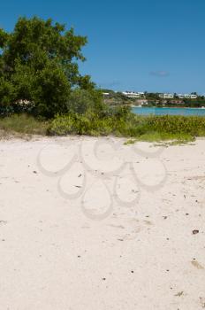 Royalty Free Photo of a Sandy Beach at Long Bay, Antigua
