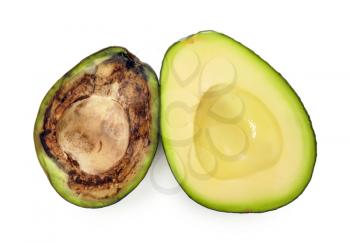 Fresh and rotten avocado halves on white background�