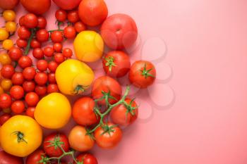 Composition with different types of tomatoes on color background�