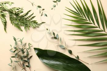 Different tropical leaves on color background�