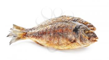 Grilled dorado fish on white background�