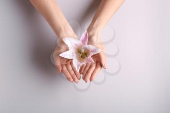 Female hands holding beautiful lily on light background�