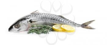 Tasty raw mackerel fish on white background�