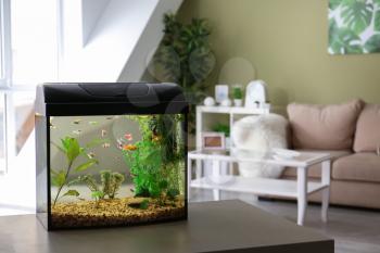 Beautiful aquarium on table in room�