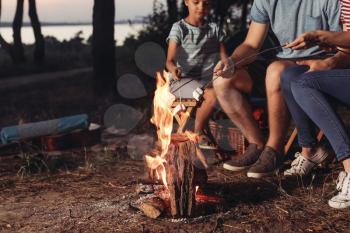 Family roasting marshmallow over campfire in evening�