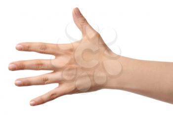 Hand of woman on white background�