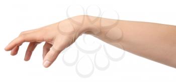 Hand of woman holding something on white background�