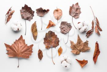 Autumn leaves and cotton flowers on white background�