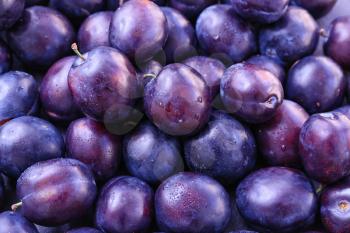 Many ripe plums as background�