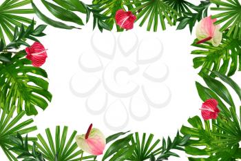 Frame made of green tropical leaves and flowers on white background�
