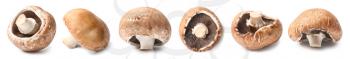 Fresh champignon mushrooms on white background�