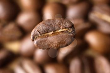 Coffee Bean close-up and Beans as background