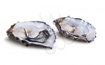 Fresh opened oyster isolated on white background
