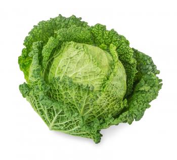 fresh  savoy cabbage isolated on white background