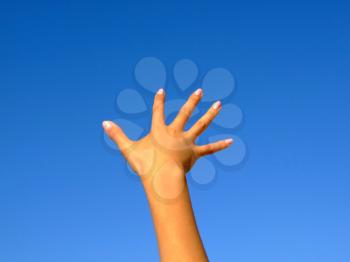 Royalty Free Photo of a Hand Reaching to the Sky