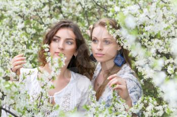 Two attractive women looking carefully at the branch of flowering tree 