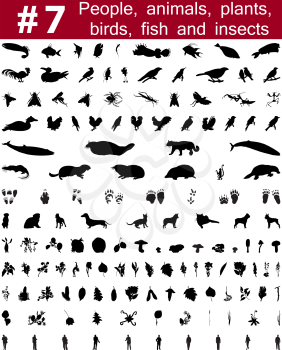 Set # 7. Big collection of collage vector silhouettes of people, animals, birds, fish, flowers and insects