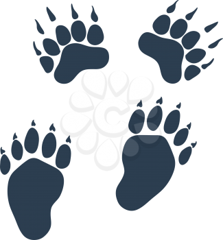 Icon Of Bear Trails. Flat Color Design. Vector Illustration.