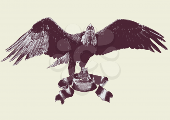 Royalty Free Clipart Image of an Eagle