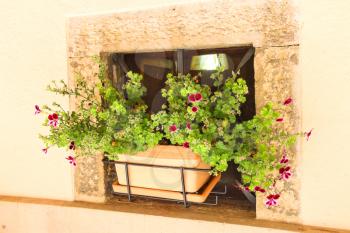 Pot of flowers in a niche walls of the house