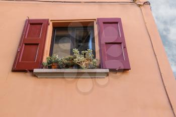 Pots with plants on the window with open shutters
