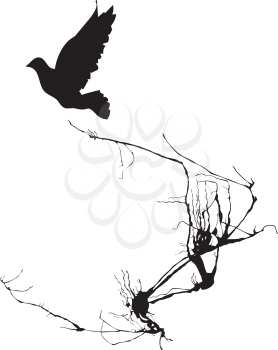 Royalty Free Clipart Image of a Dove Flying