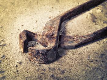old iron pincers on concrete closeup