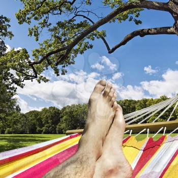 feet in the hammock against the a forest glade