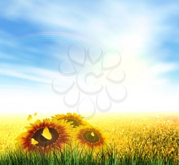 Summer Landscape With Field, Sky, Sun, Rainbow, Grass, Sunflowers And Butterflies