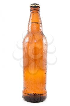 Royalty Free Photo of a Bottle of Beer