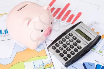 Piggy bank and calculator with printed out business charts 