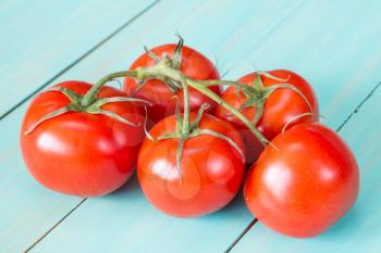 Fresh tomatoes on the vine  on a blue wooden background