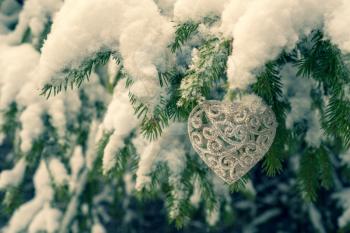 Christmas Heart shaped Decoration hanging on fir tree. Blue toned image.