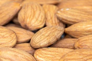 Raw Almond nuts for roasting closeup. Natural food background.