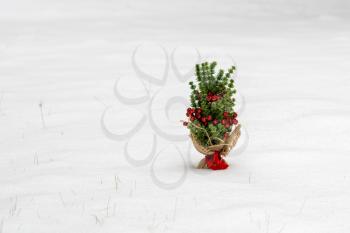 Small artificial Christmas tree in the snow 