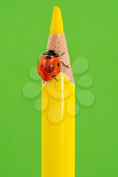 Red ladybug sitting on a yellow pencil over a green background