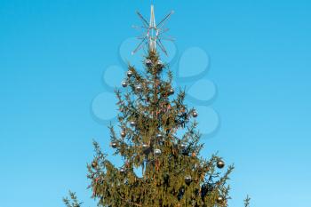 Top of Christmas tree with star shape decoration over blue sky background 