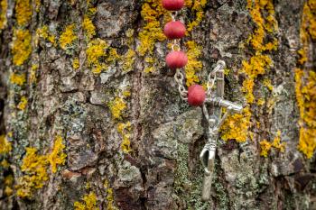 Rosary hanging on the background of tree bark