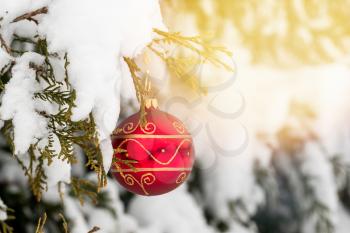 Christmas ball on a snow-covered tree branch. Winter holidays background