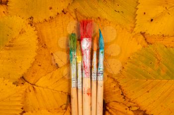 Five brushes for painting on colorful fall leaves background