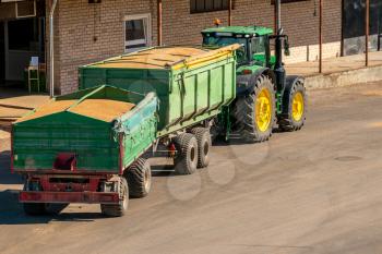 Tractor & trolley filled with wheat grain after wheat crop harvesting. Delivering recently harvested grain to grain storage silos.