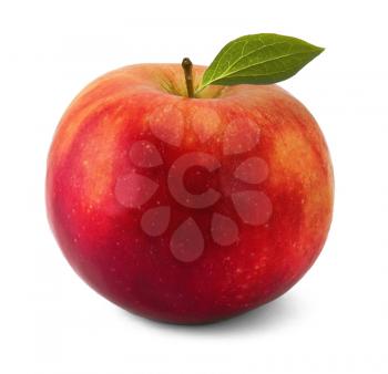 Red apple on the white background