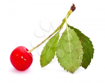 Red cherry isolated on white