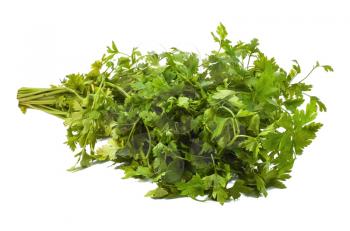 Parsley on the white background