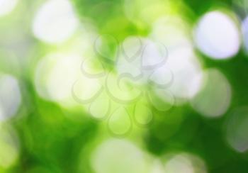 Sunny and full of energy abstract nature background