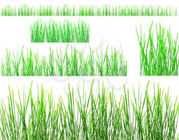Two rows of green grass isolated on white 
