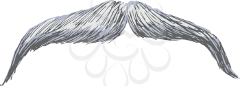 Royalty Free Clipart Image of a Moustache