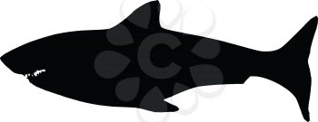 black silhouette of shark